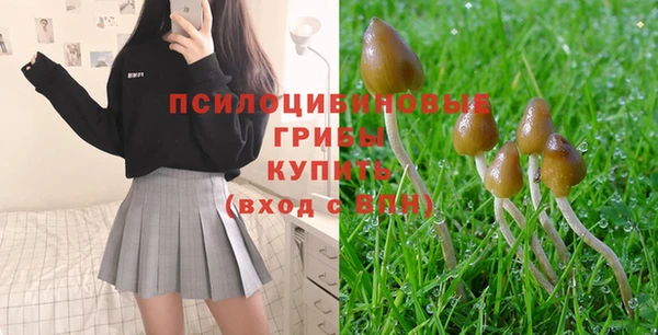 первитин Горняк