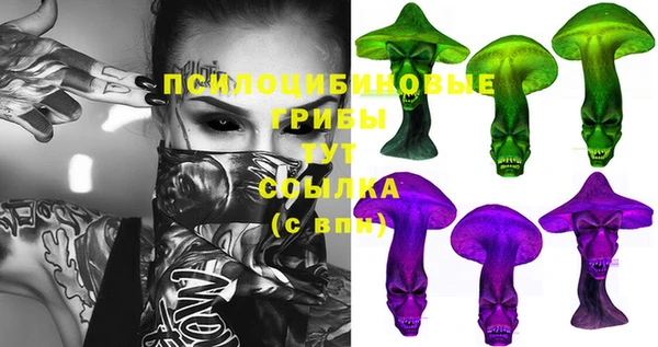 первитин Горняк